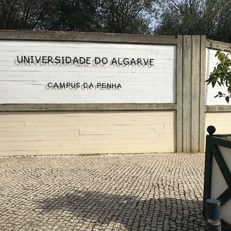 파로 Casa Do Marinheiro 아파트 외부 사진